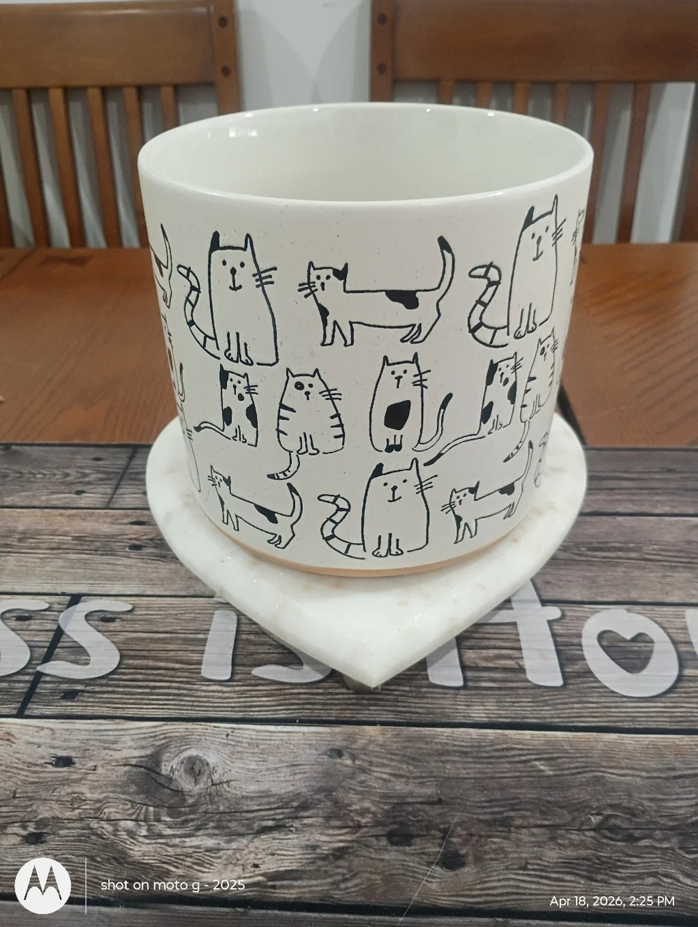 Cat planter All Over Print - Picture 1 of 10